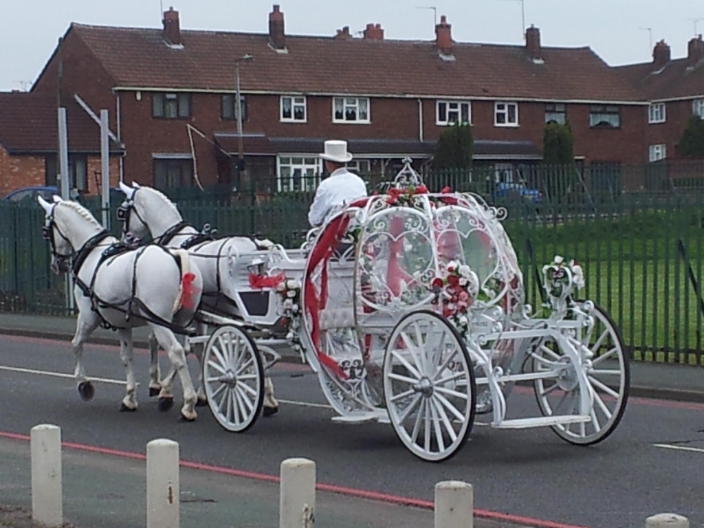 Unicorns and Cinderella Carriage Hire.jpg